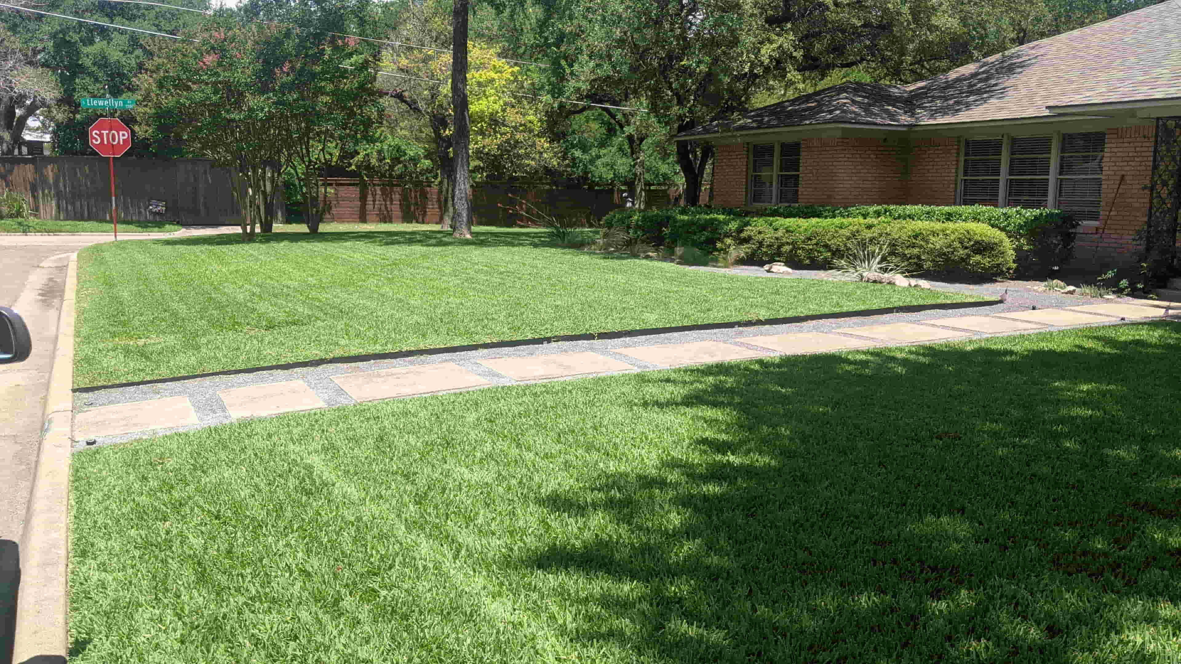 Finished lawn care and edging