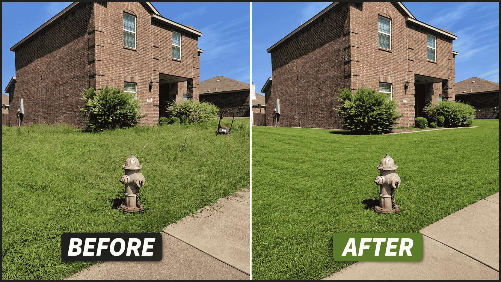 Before & After Cleanup
