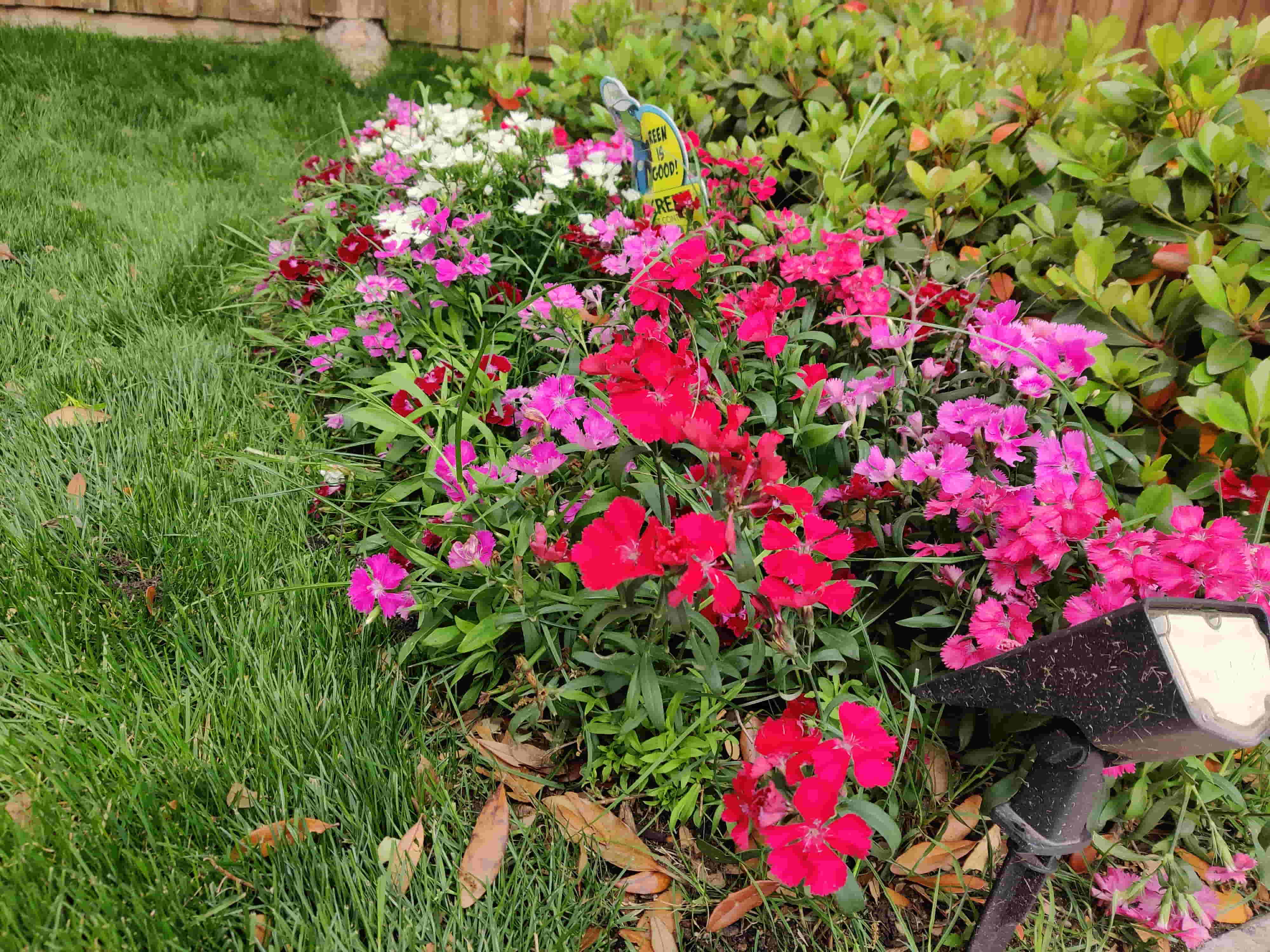 Flower Beds & Mulch