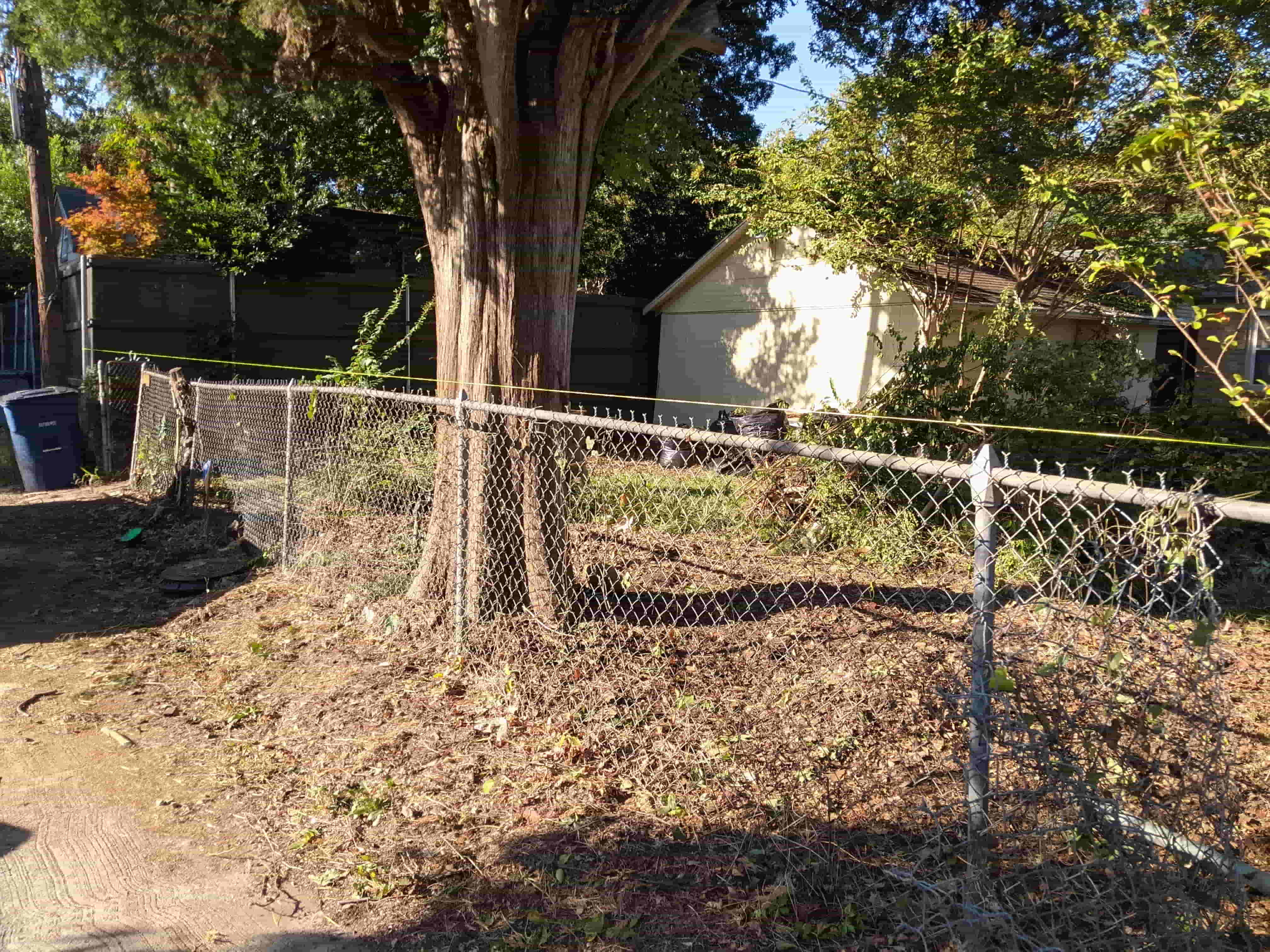 Fence Line Cleanup