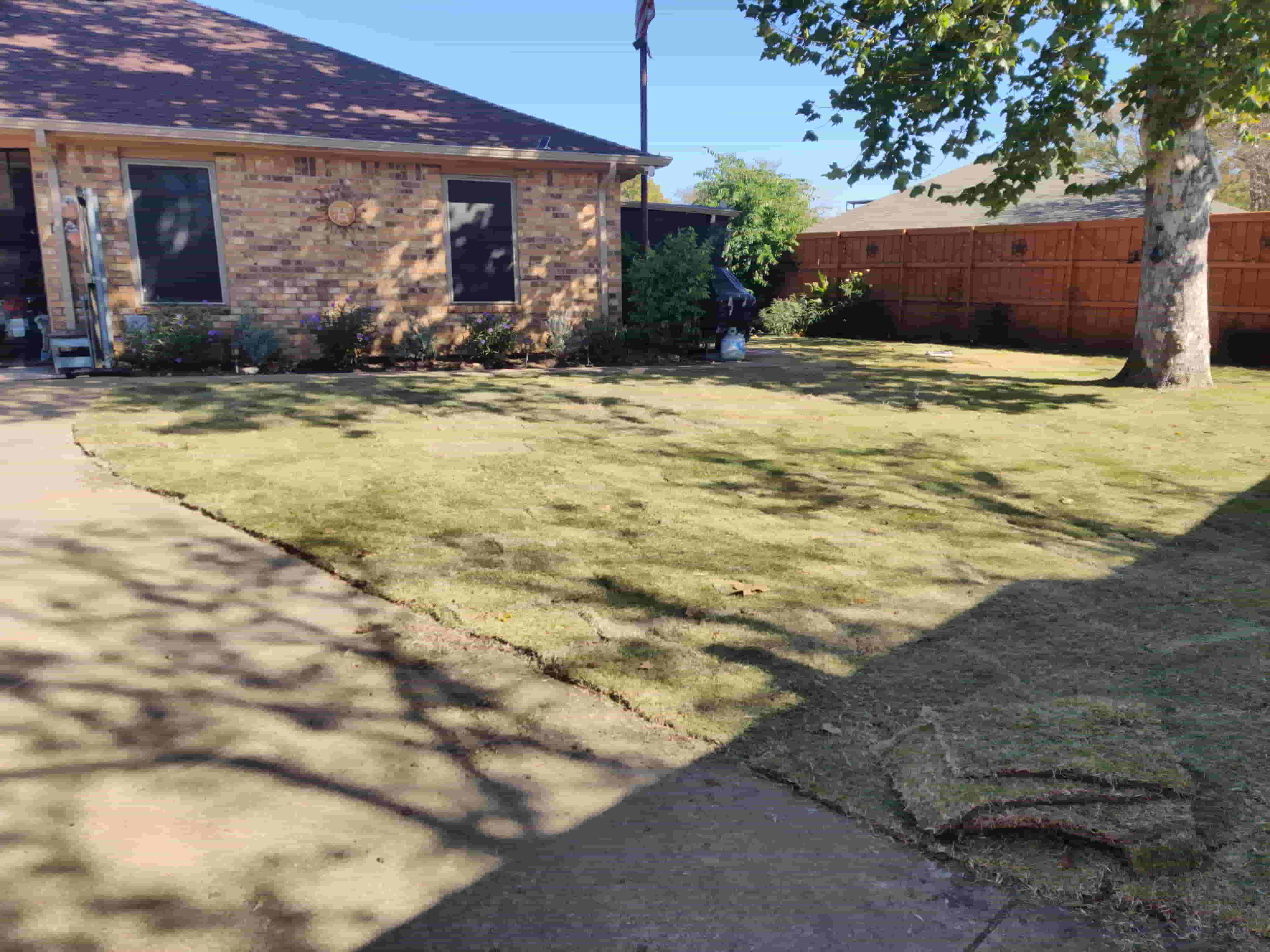 Sod & Lawn Repair